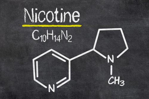 Who is chemically synthesizing nicotine?